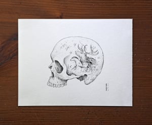 Painted Skull IV · Original Art