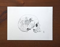 Image 1 of Painted Skull V · Original Art