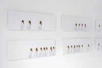 Image 4 of 'Caravan III', 2024 by Charlotte Hopkins Hall