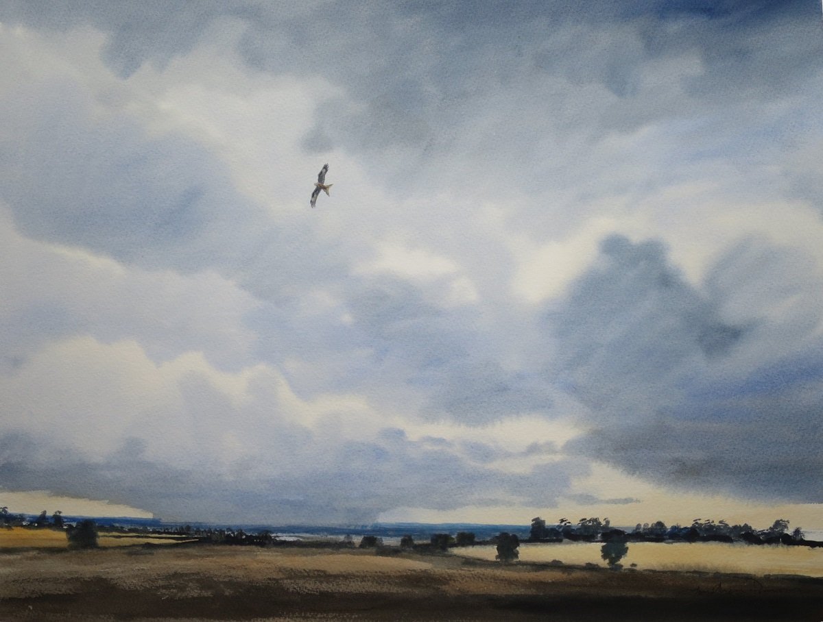 Image of Red Kite near Oldstead, North Yorkshire