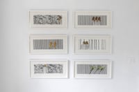 Image 2 of 'Barriers and Quagmires XIII', 2024 by Charlotte Hopkins Hall