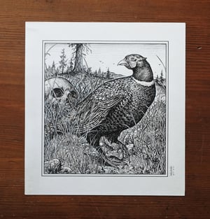 Pheasant · Original Art