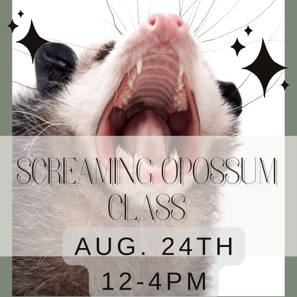 Image of Screaming Opossum Class