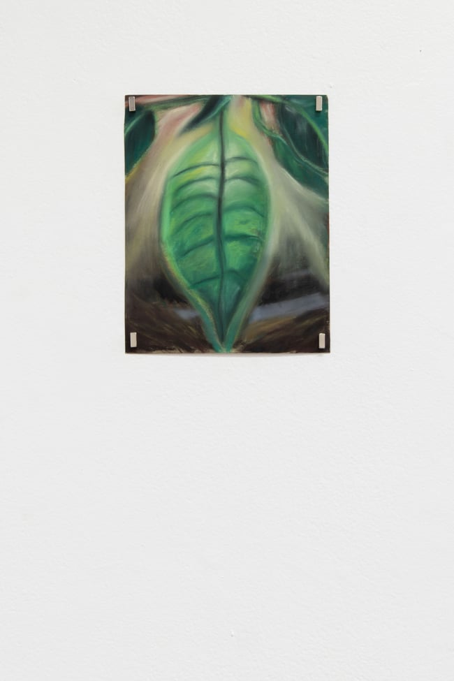 Azul Camacho - Eclipse 