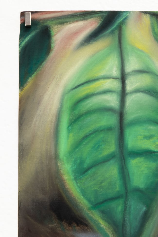 Azul Camacho - Eclipse 