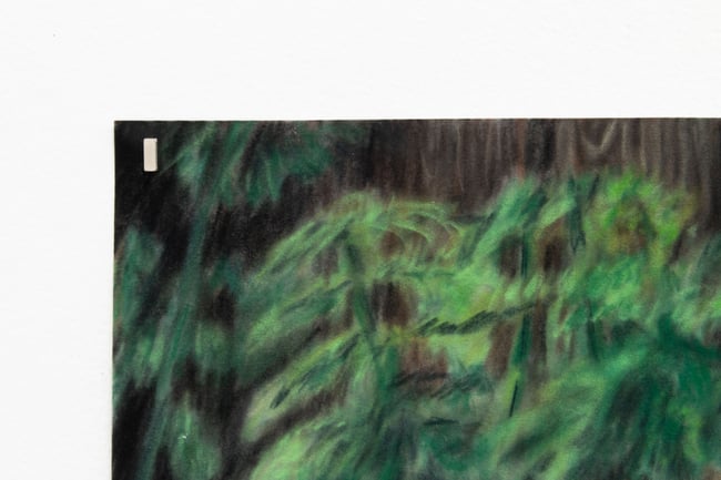 Azul Camacho - A World Can Be Created Again (and it will)