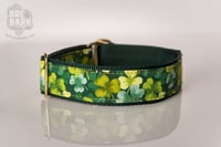 Image 5 of *Ready to Ship* Lucky Clovers w/ Brass |  1.5" Limited Slip  |  Size 12-18"