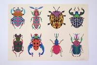 Image 2 of Beetle Swarm