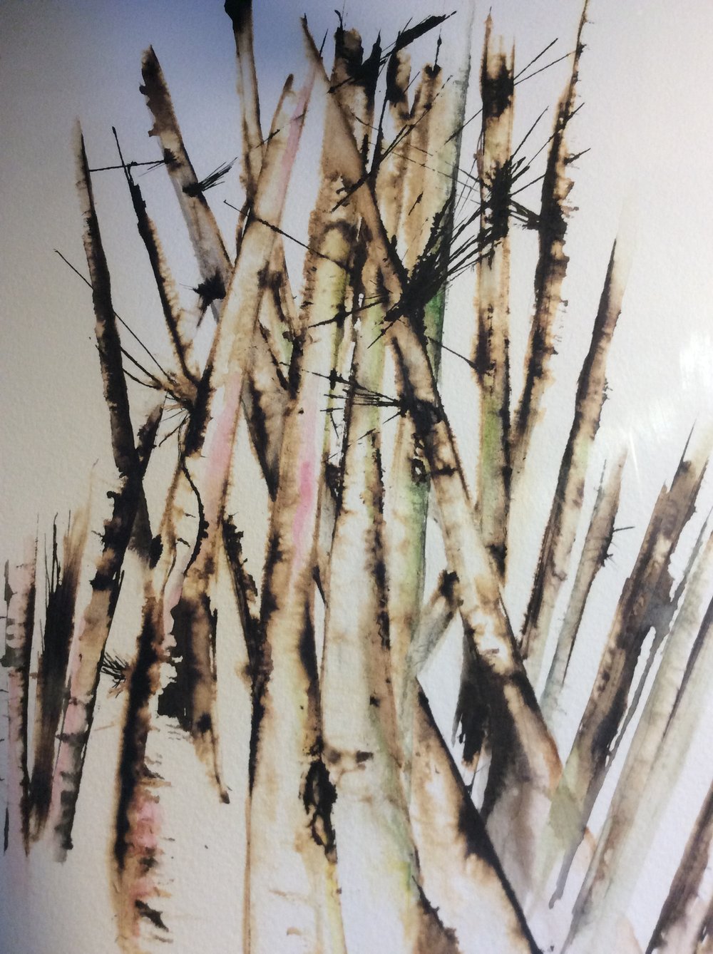 Image of Twigs