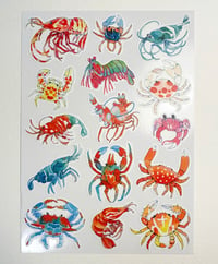 Shrimps & Crabs sticker sheet