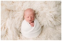 Image 3 of Newborn-Simply Wrapped Mini