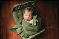 Image 1 of Newborn-Simply Wrapped Mini