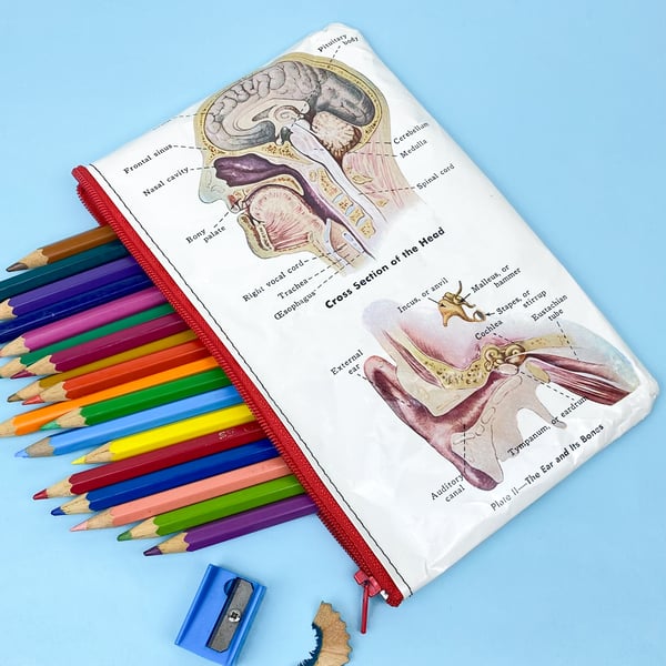 Image of Anatomy Book Page Pencil Case