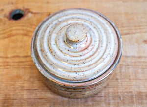 Image of Old Shino Jar