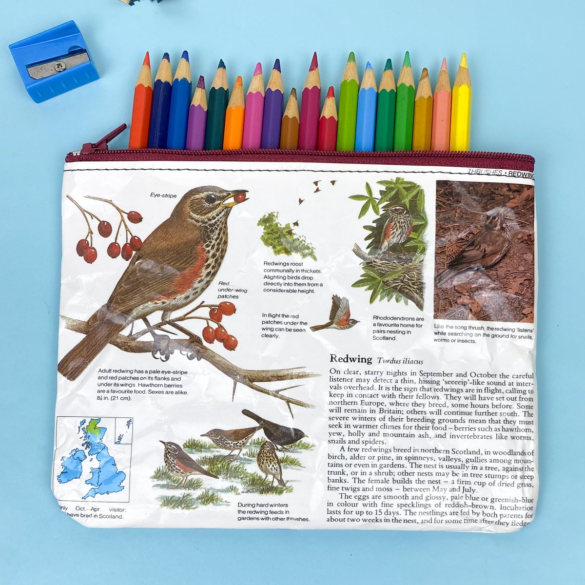 Long-Tailed Tit/ Redwing Bird Book Page Pencil Case