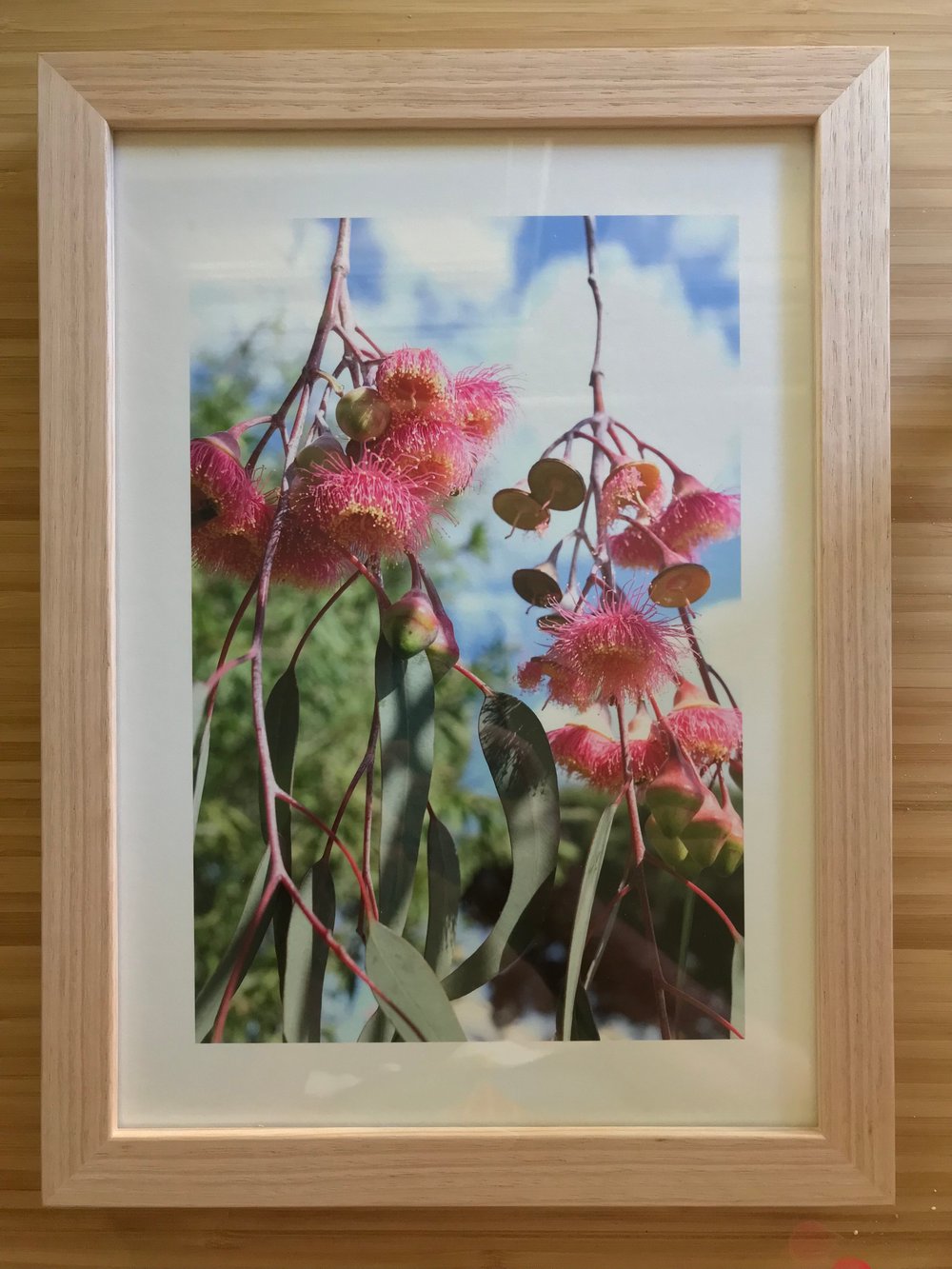 Image of Dangle Blossom