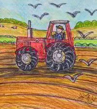 Image 1 of Tractor Chum and Fergie