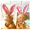 Personalized Bunny Rabbit