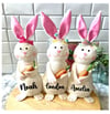 Personalized Bunny Rabbit