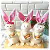 Personalized Bunny Rabbit