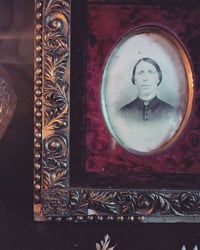 Image 3 of Velvet Victorian portrait 