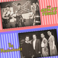 Image 1 of Crazy Tones & The Meadowhawks split (LP)