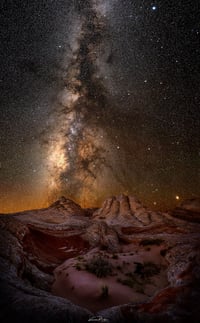 Midnight at the Oasis