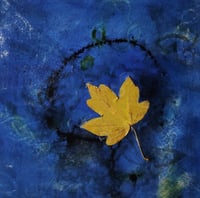 Floating Leaf 1