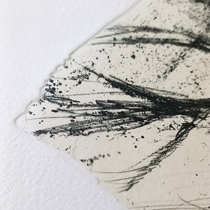 Image of Incisione • 50x70 • Giulia Bozzetti