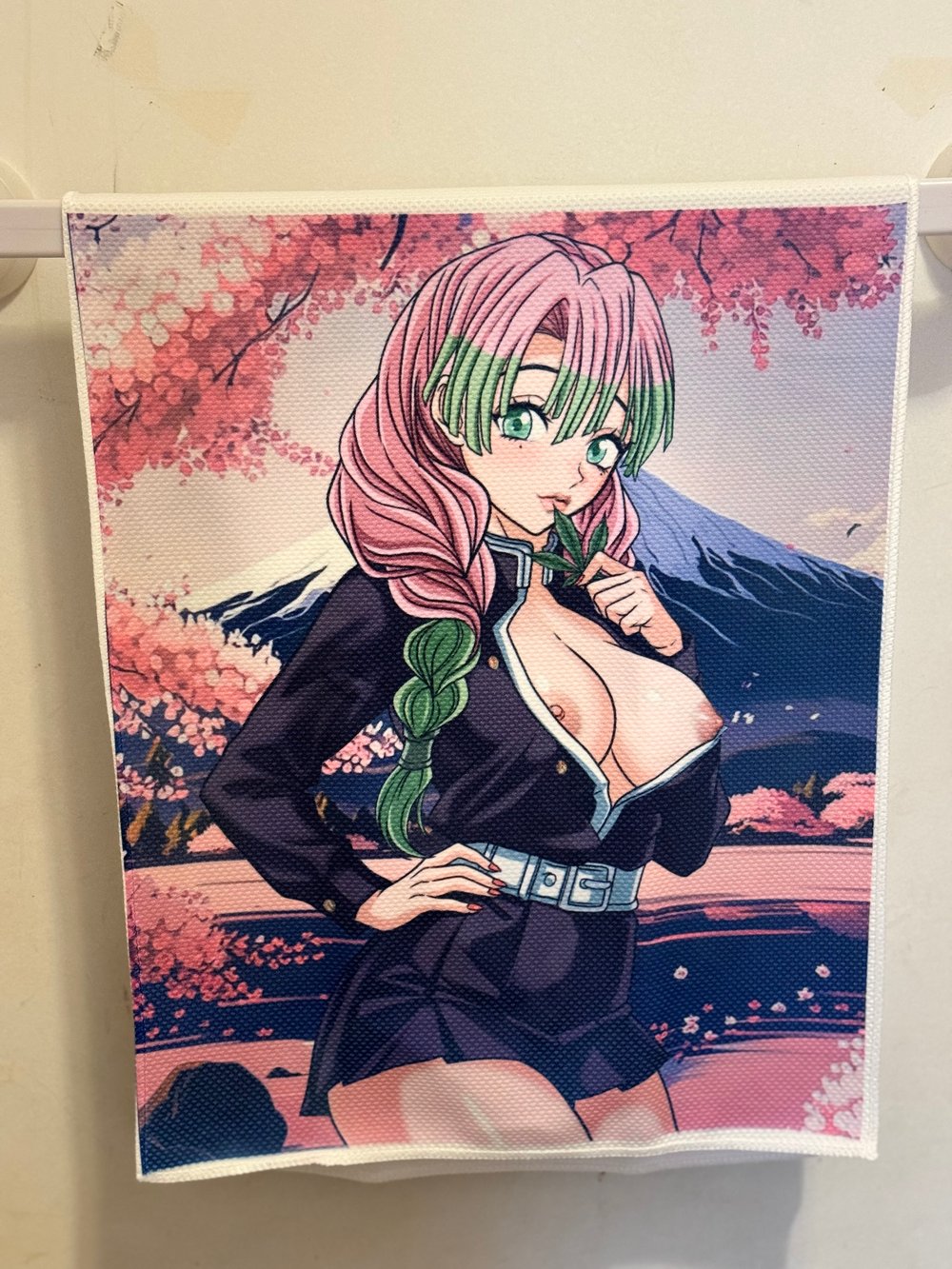Image of The Love Hashira 