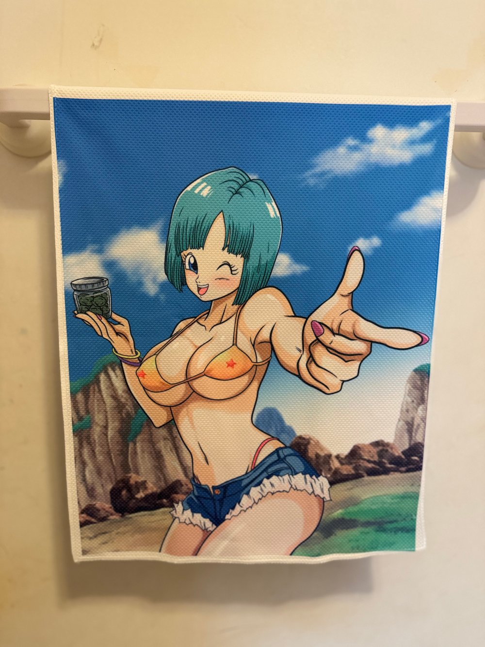 Image of Bulma