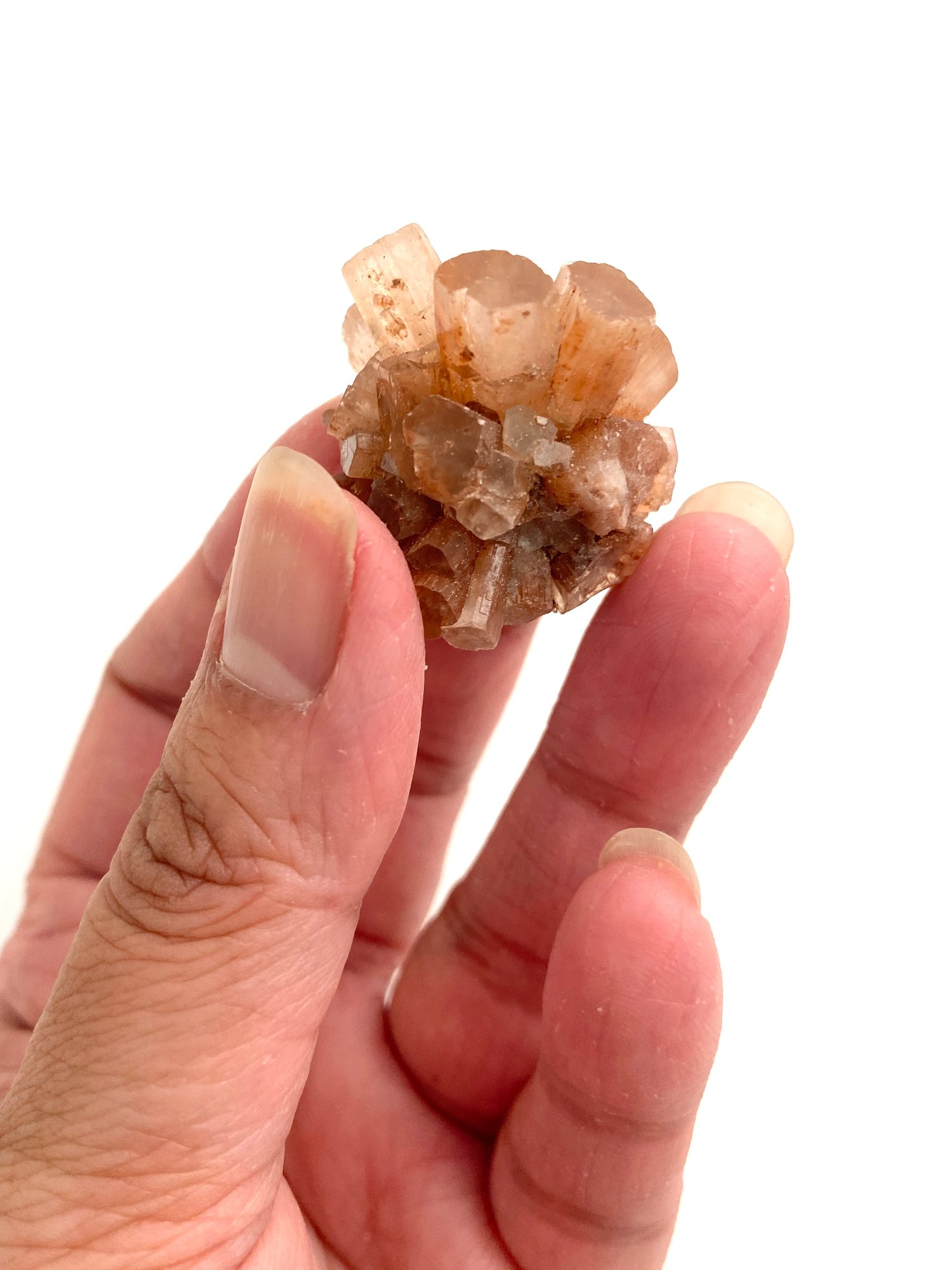 Image of Aragonite Crystal