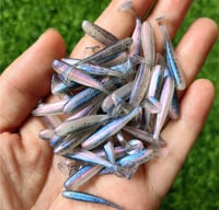 Image 1 of Micro Soft Plastic Fishing Lures