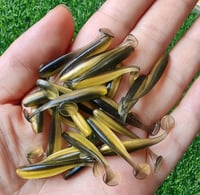 Image 3 of Micro Soft Plastic Fishing Lures