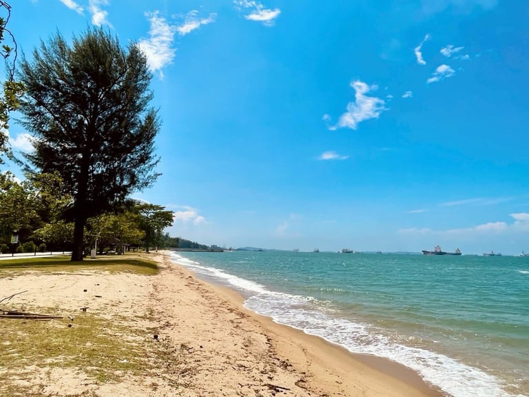 East Coast Plan (Handmade relief print) Image 2