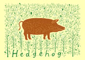 Image of Hedgehog screenprint