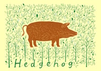 Image 1 of Hedgehog screenprint