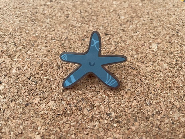Starfish Pin