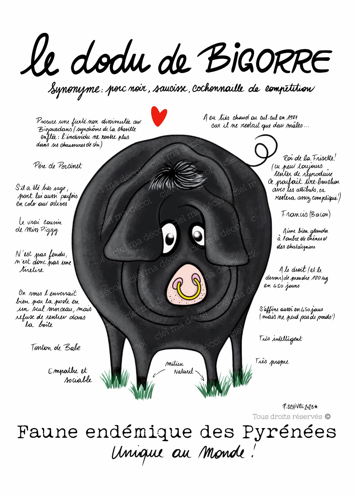 Image of L’affiche du dodu de Bigorre 