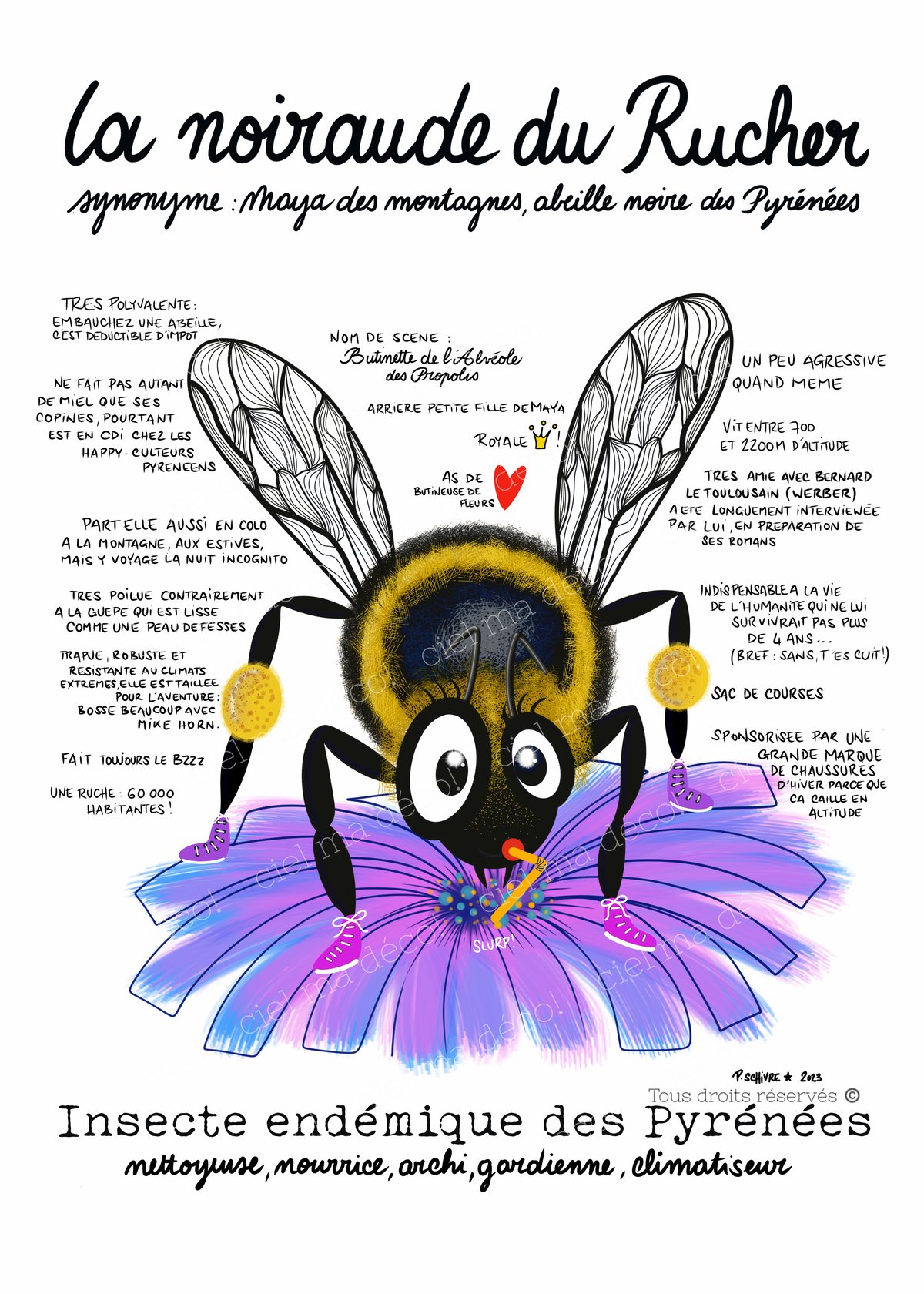 Image of L’affiche de la noiraude du rucher