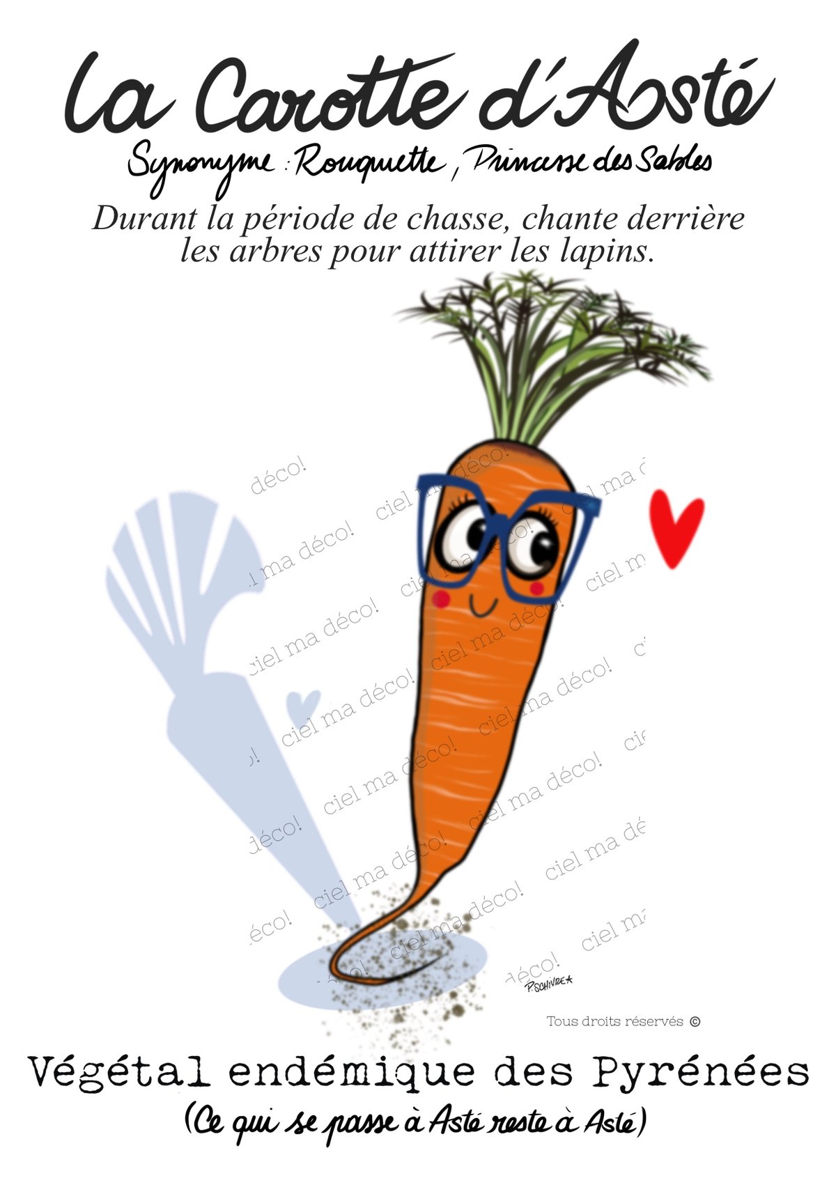 Image of Carte postale La carotte d’Asté