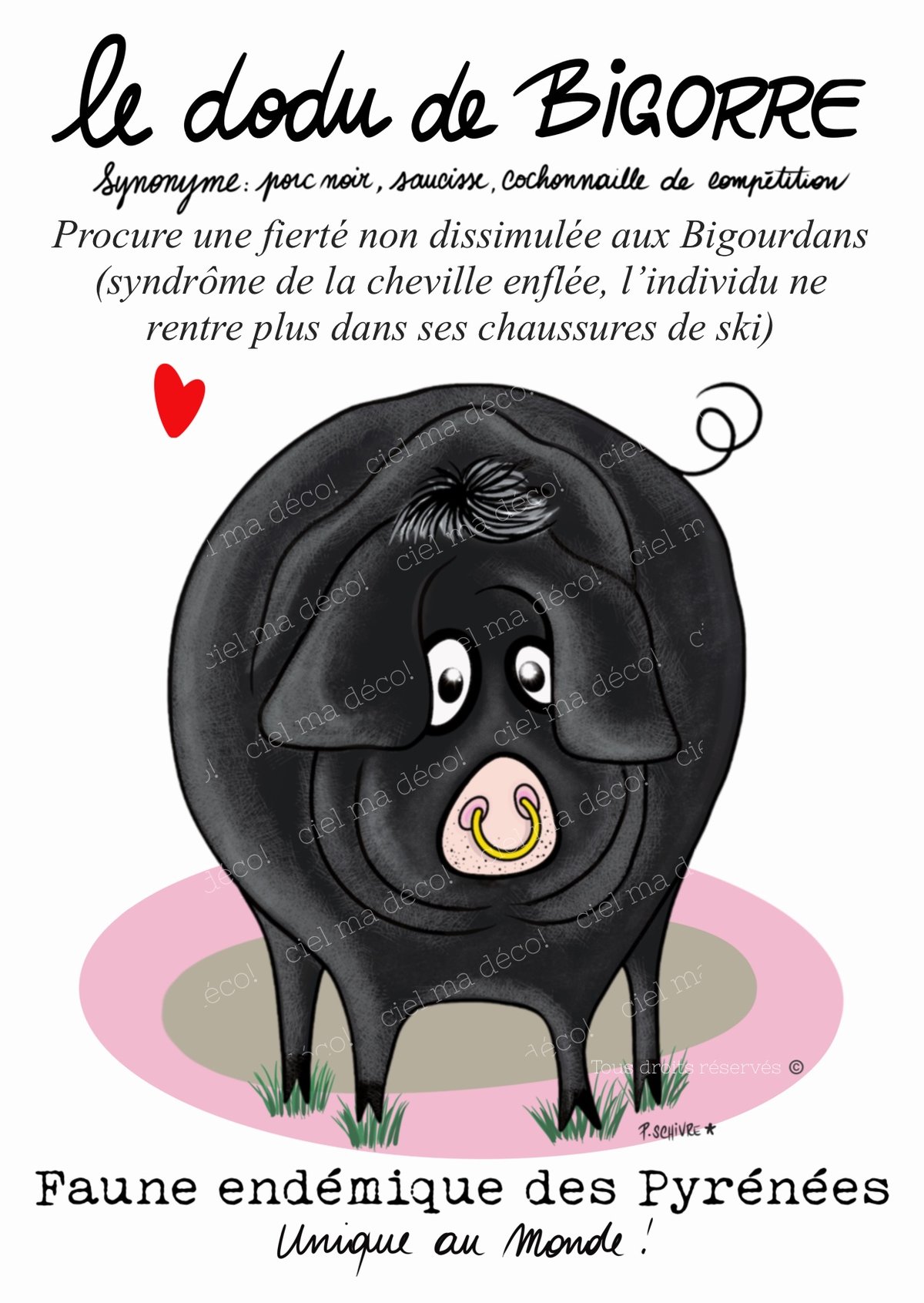 Image of Carte postale Le dodu de Bigorre 