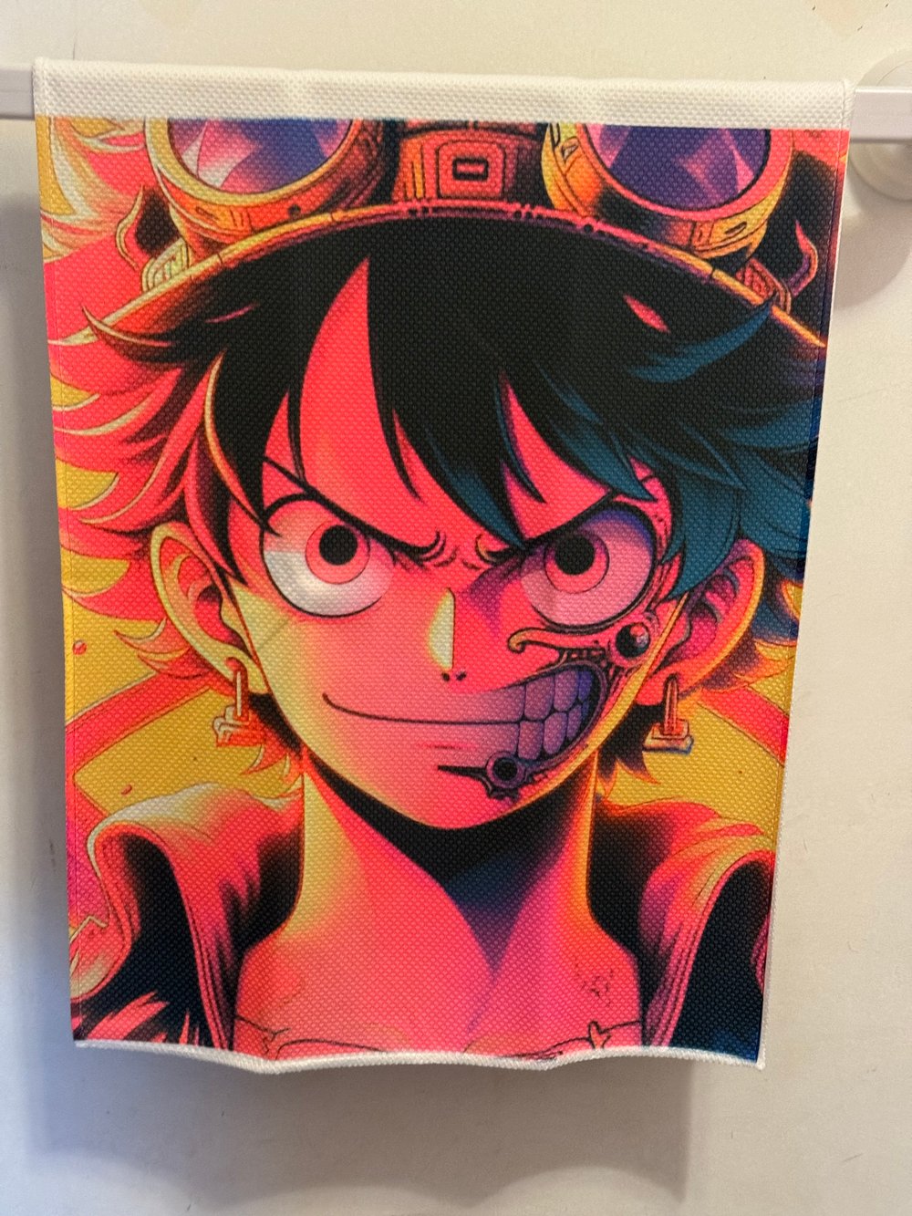 Image of Day of Luffy