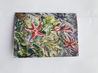 Image 5 of Starfish Greeting Card