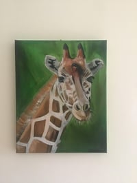 Image 2 of Giraffe 