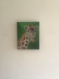 Image 3 of Giraffe 