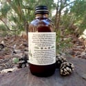 Piñon Pine | honey elixir