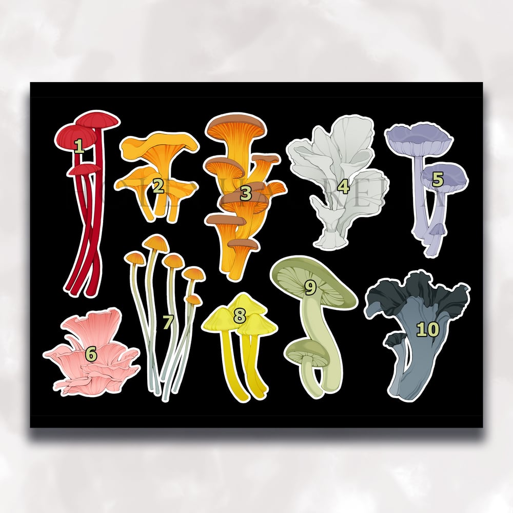 Rainbow Mushrooms Single Sticker