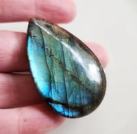 Image 3 of Spectrolite 