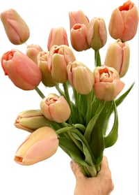 Image 4 of Floral FUNdamentals :: Tiptoe Through The Tulips